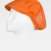 Variation picture for Naranja