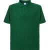 Variation picture for Bottle Green
